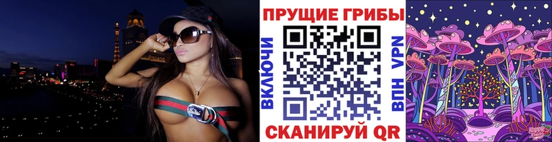 Галлюциногенные грибы Psilocybine cubensis  Купить где  Котовск 
